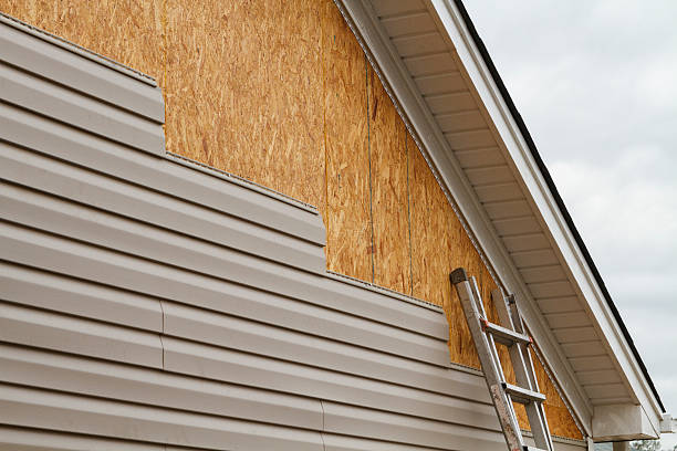 Professional Siding Inspection technician working in Asbury Park, NJ